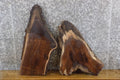 2- Black Walnut Oval Cut Reclaimed Live Edge Craft Pack Slabs 14004-14005