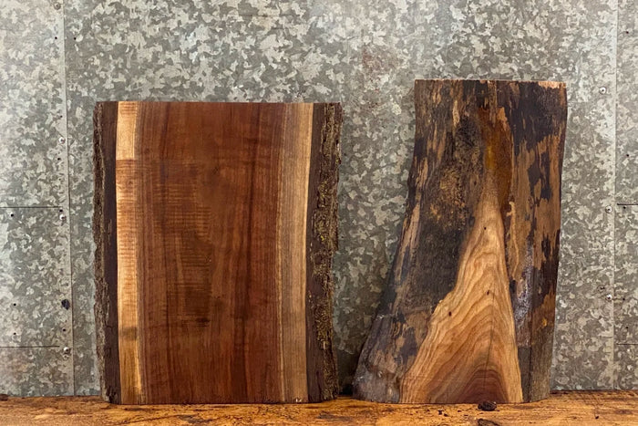 2- Live Edge Black Walnut Slabs, Taxidermy Mounts, Charcuterie 13798,13801