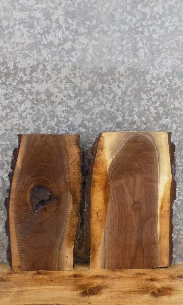 2- Live Edge Black Walnut Taxidermy Mount/Wall Shelf Slabs 13441-13442