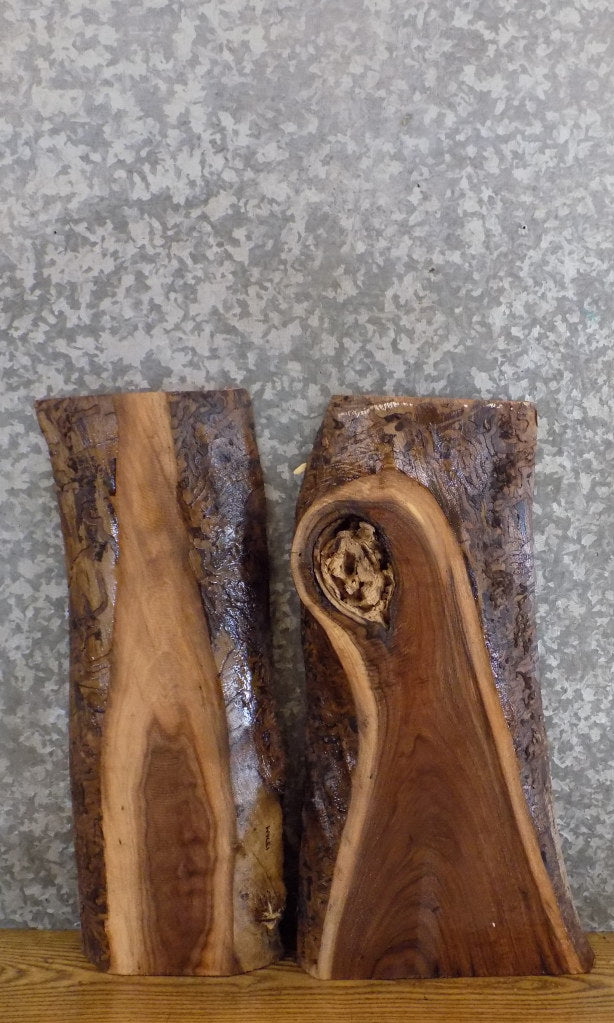 2- Live Edge Rustic Black Walnut Craft Pack/Taxidermy Base Slabs 13764-13765
