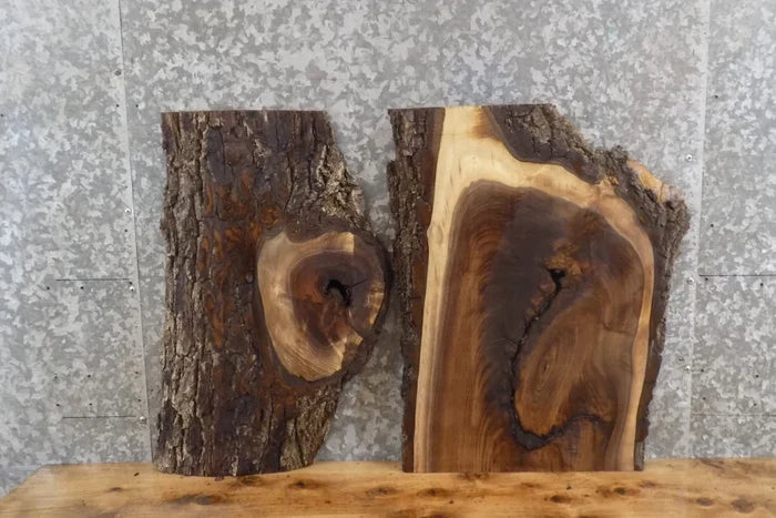 2- Live Edge Salvaged Black Walnut Epoxy Project/Clock Slabs 13445-13446