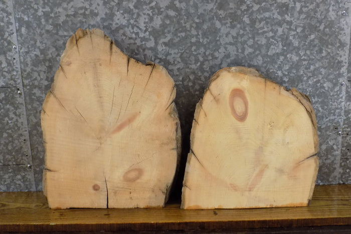 2- Partial Live Edge Pine Rustic Oval Cut Craft Pack Wood Slabs 14008-14009