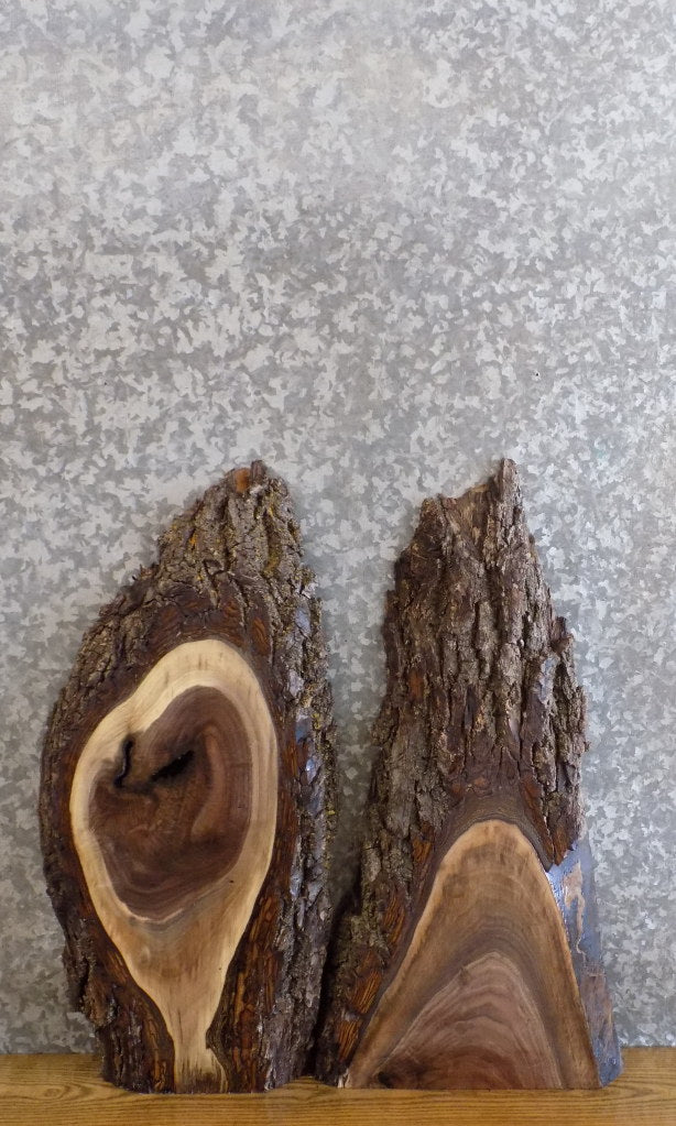 2- Salvaged Live Edge Bark Black Walnut Craft Pack Wood Slabs 13762-13763
