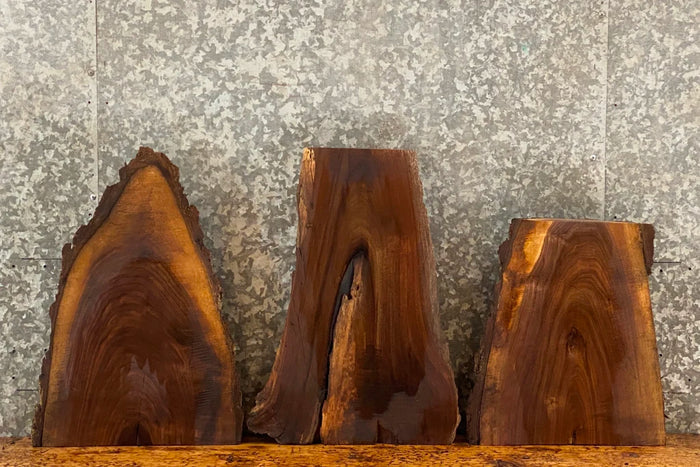 3- Black Walnut Live Edge Taxidermy Mount Slabs/End Table Tops 13792-13793,13807