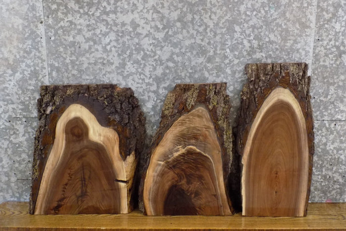 3- Live Edge Black Walnut Rustic DIY Charcuterie Boards/Slabs 14396-14398