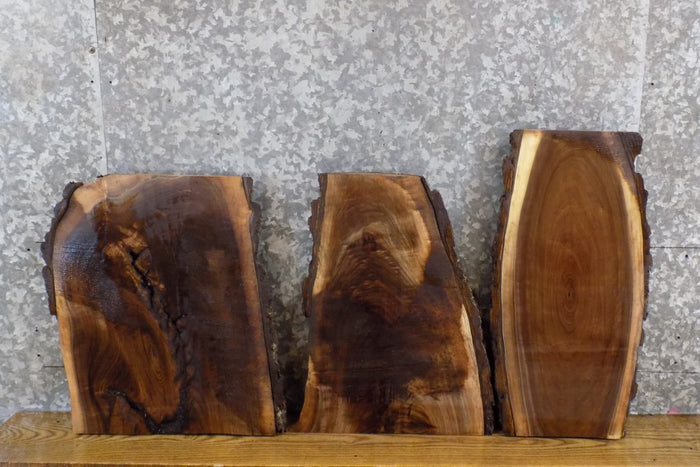 3- Live Edge Black Walnut Rustic DIY Charcuterie Boards/Slabs 14396-14398