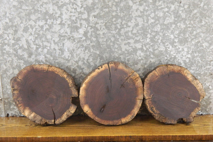 3- Reclaimed Black Walnut Live Edge Round Cut Craft Pack Slabs 12754-12756