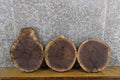 3- Rustic Round Cut Live Edge Black Walnut Centerpiece Wood Slabs 14195-14197