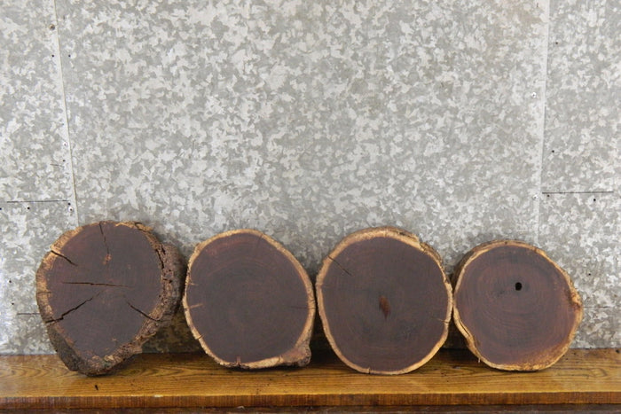 4- Rustic Round Cut Black Walnut Natural Edge Craft Pack Slabs 14325-14328