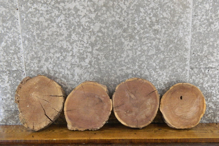 4- Rustic Round Cut Black Walnut Natural Edge Craft Pack Slabs 14325-14328