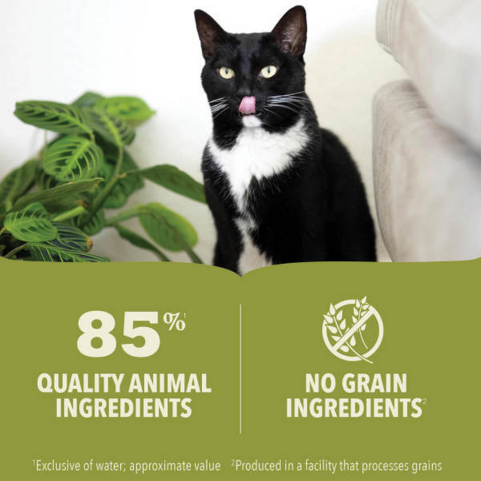 Acana Beef, Chicken + Tuna Recipe in Bone Broth Wet Cat Food