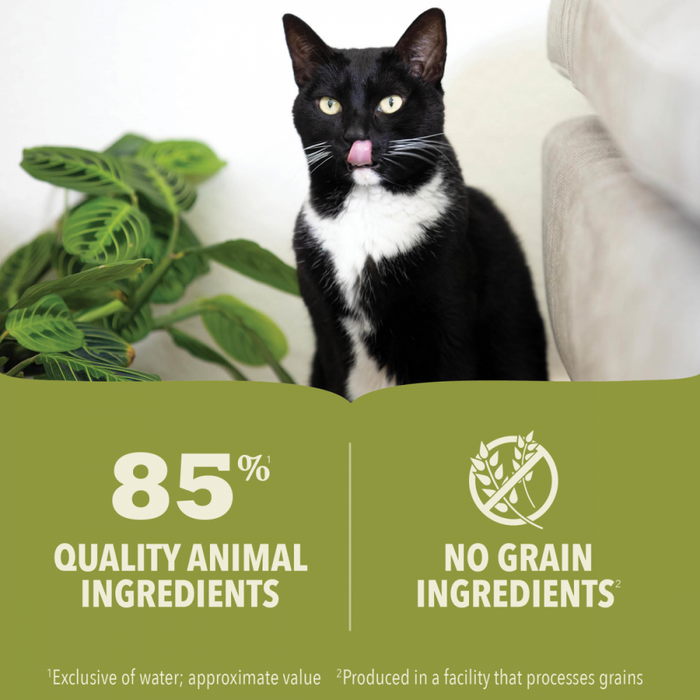 Acana Premium Pt Canned Kitten Food Chicken & Tuna