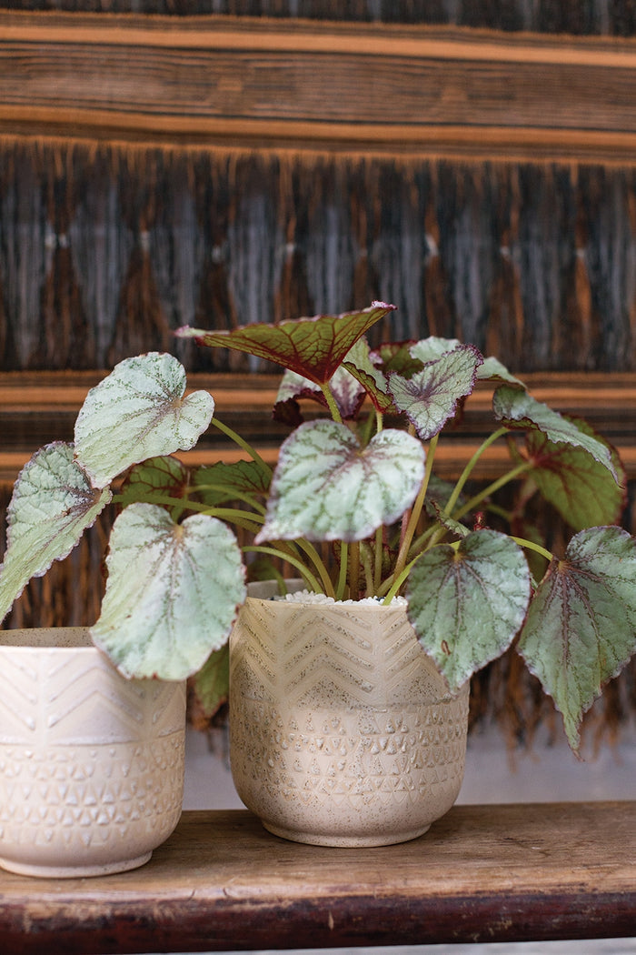 Accent Decor Indo 5.25" Ceramic Planter Pot, Cream