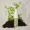 ANILLO Patchouli Garden Damage Repair Cream Hair Mist 70ml with natural ingredients displayed on soil and plants
