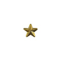 Army Identification Badge: Gold Star for Recruiter