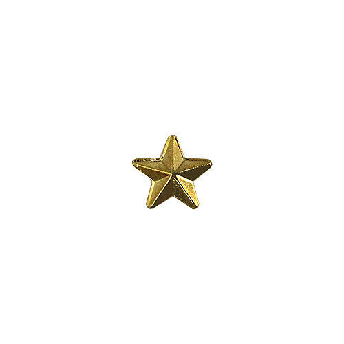 Army Identification Badge: Gold Star for Recruiter