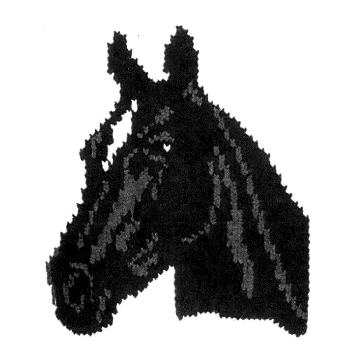 Black Horse Head Jacket
