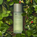 BLITHE Vital Treatment 6 Calming Leaves 54ml/150ml | Kool Seoul