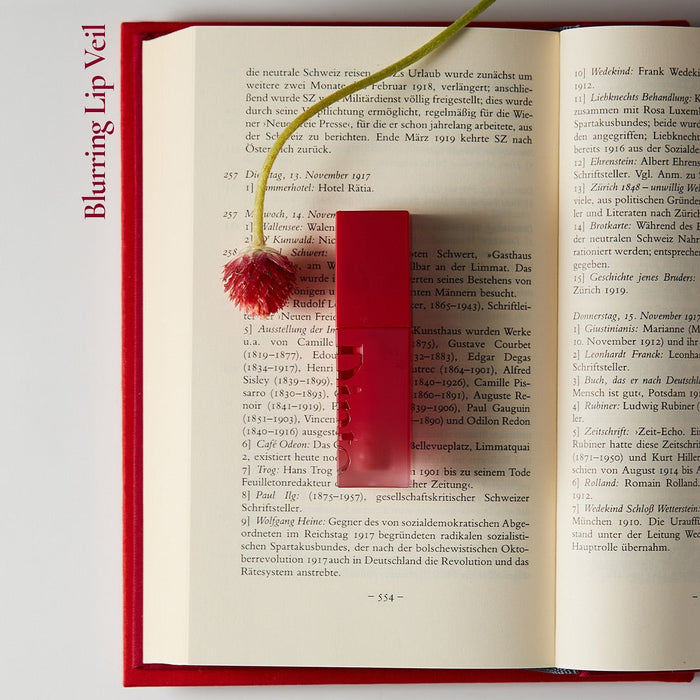 DINTO Blurring Lip Veil on open book with flower accent