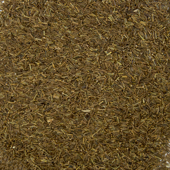 Elecampane Seeds (Inula helenium)