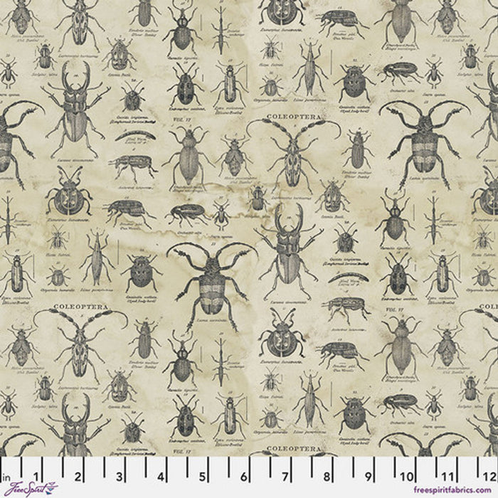 FreeSpirit Fabrics - Laboratory - Specimen Neutral - PWTH184.NEUTRAL - Sold by the Half Yard