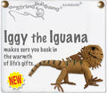 Iggy the Iguana