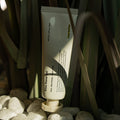 LAZY SOCIETY Cica Hand Gel 50ml tube on stones and plants, Gentleman Korea Korean skincare for men, soothing cica hand gel