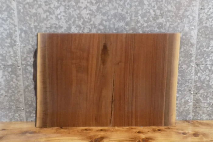 Live Edge Black Walnut Charcuterie Board/Butchers Block Slab 13766