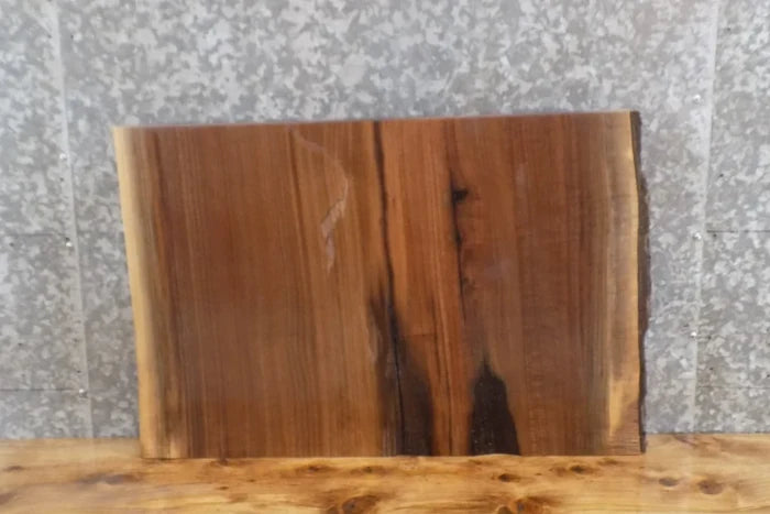 Live Edge Black Walnut Charcuterie Board/Butchers Block Slab 13766