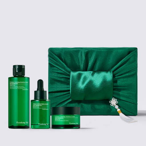 PYUNKANG YUL Ultimate Bojagi Gift Set featuring skincare products with elegant green packaging and traditional wrapping.