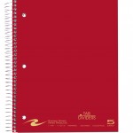 Roaring Spring WB Notebook w/Tabs 5SUB 11"x8.5" CM (RS 11197)