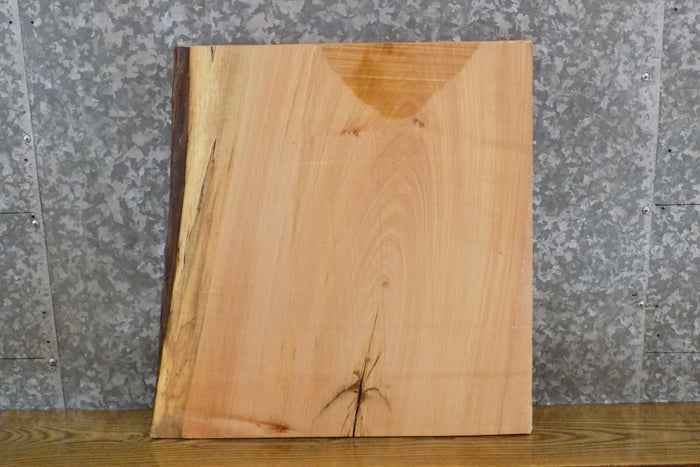 Salvaged Maple Partial Live Edge End/Entry/Side Table Top Slab 14345