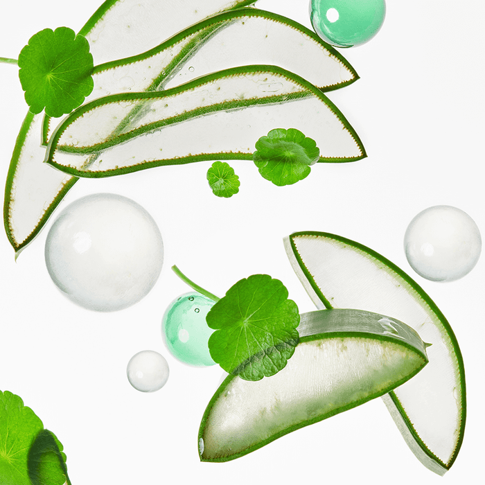 Natural ingredients of TOCOBO Cica Calming Aqua Toner showing aloe vera and centella asiatica for skin care.
