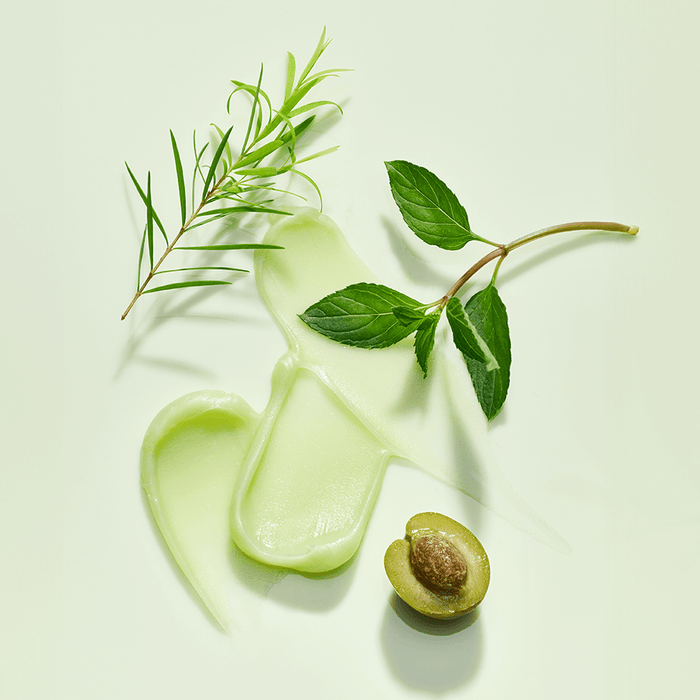 TOCOBO Mint cooling Lip Mask texture with mint and natural ingredients